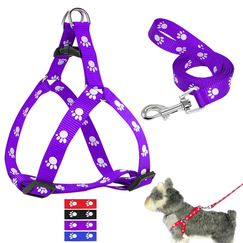 Cute Paw Print Step Dog Harness and Leash Set