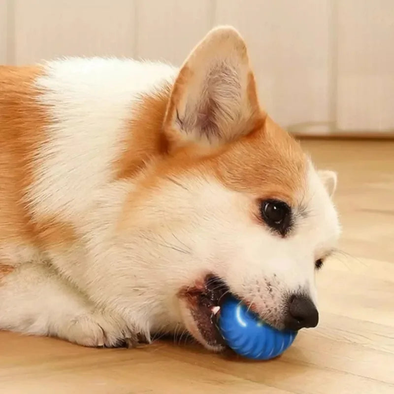 Automatic Moving Bouncing Dog Toy Ball