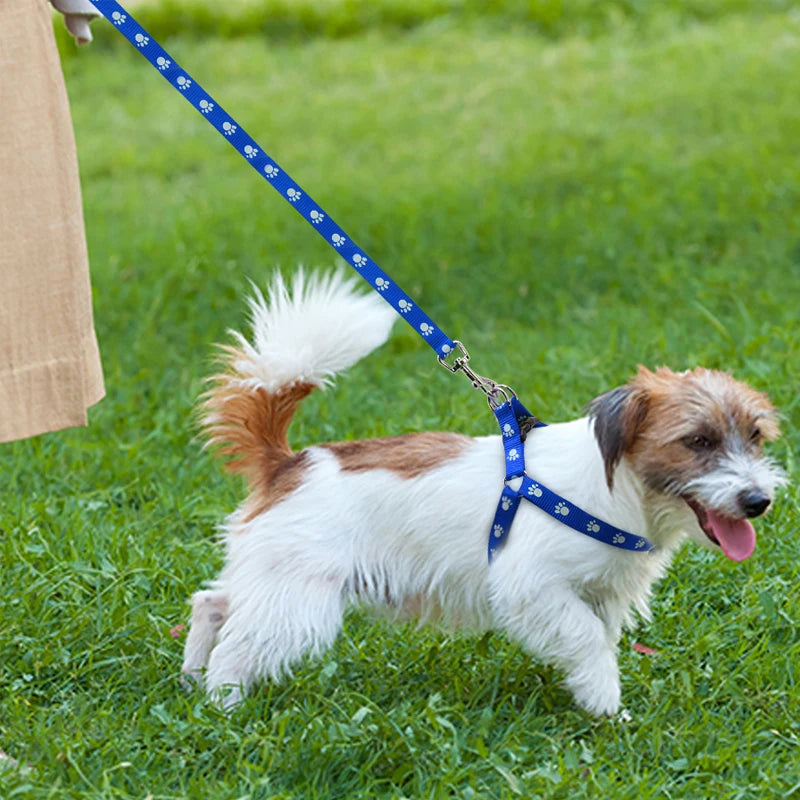 Cute Paw Print Step Dog Harness and Leash Set