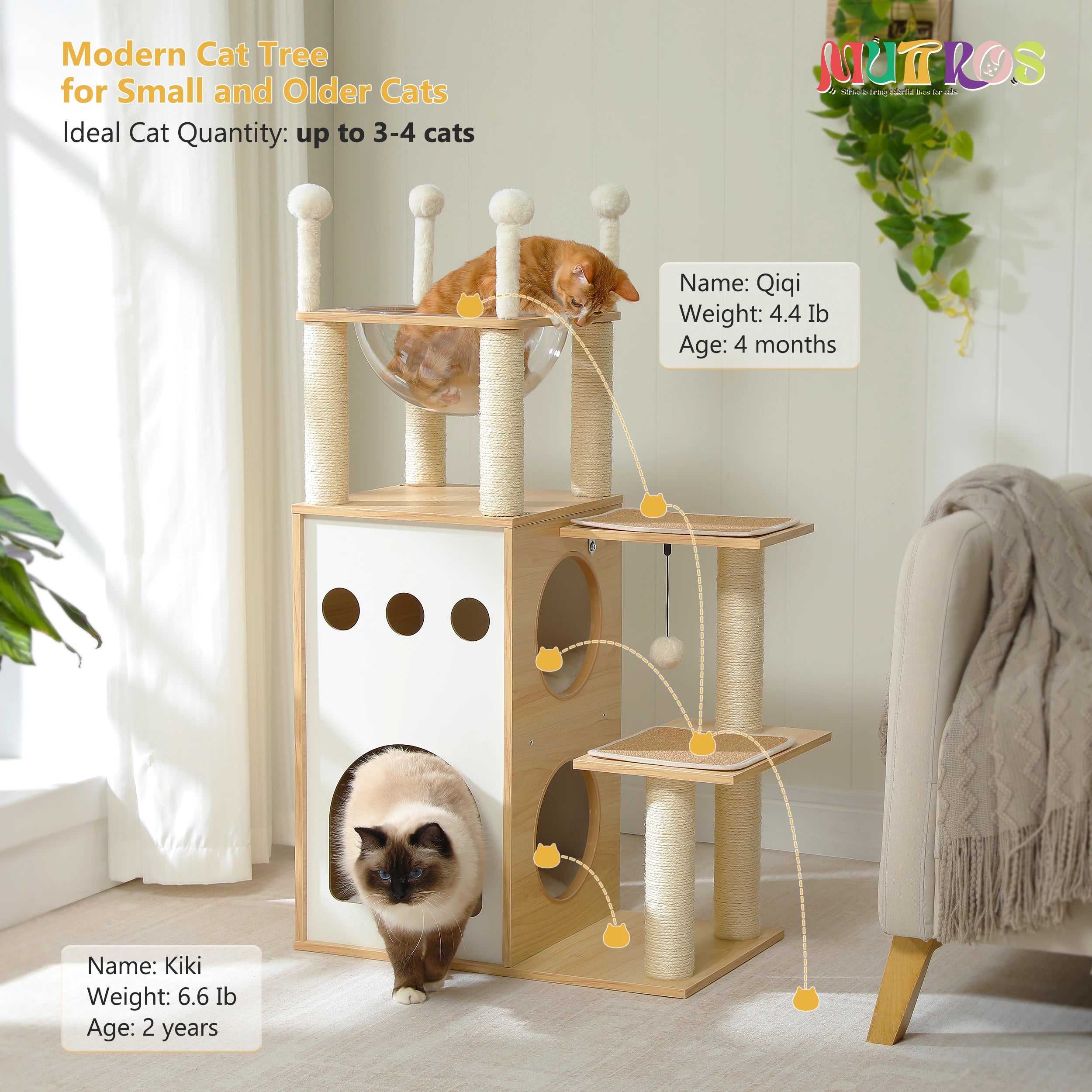 Modern Wooden Cat Tree Tower