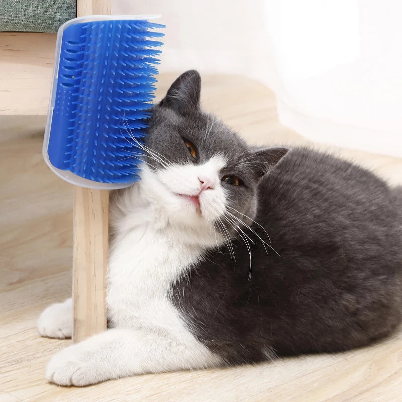 Pet Brush Comb Play Cat Toy