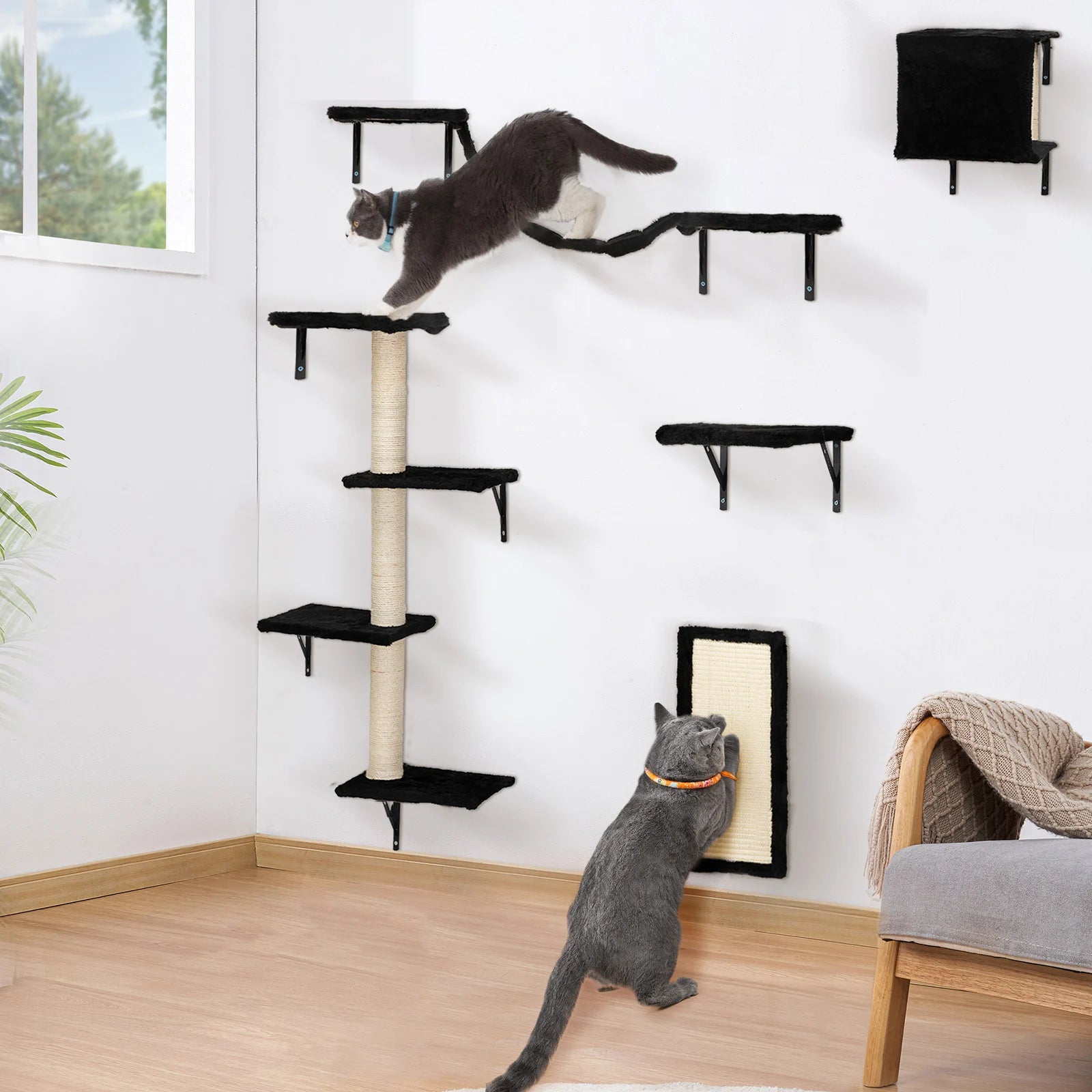 Wall-Mounted Cat Climber Set, Black