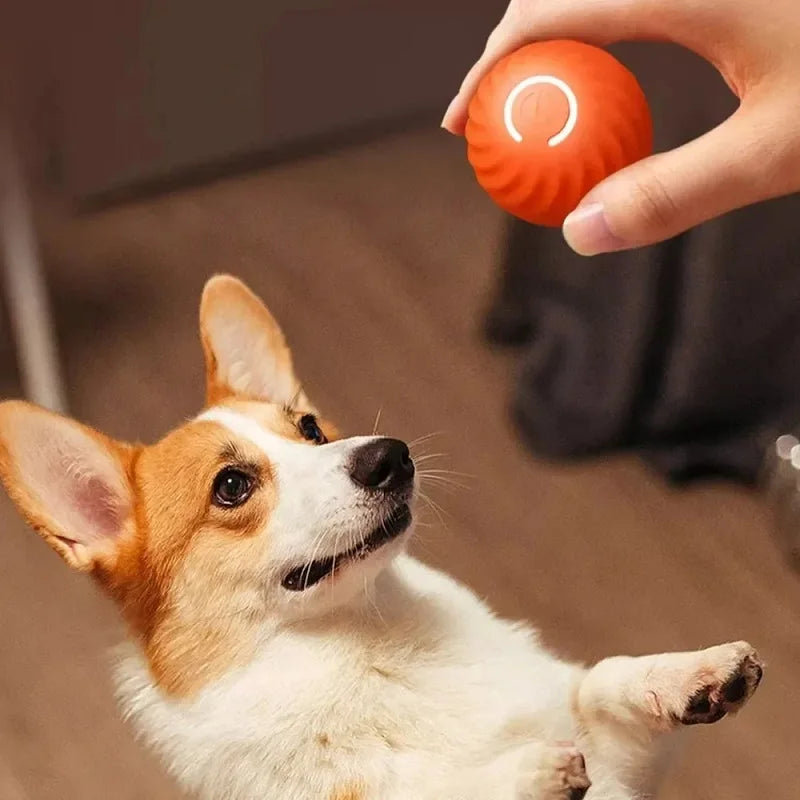 Automatic Moving Bouncing Dog Toy Ball