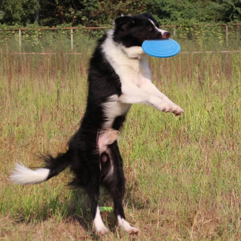 Dog Flying Discs - Silicone Flying Saucer Dog Toy