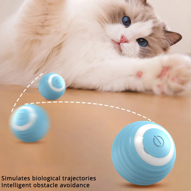 Smart Interactive Pet Toy